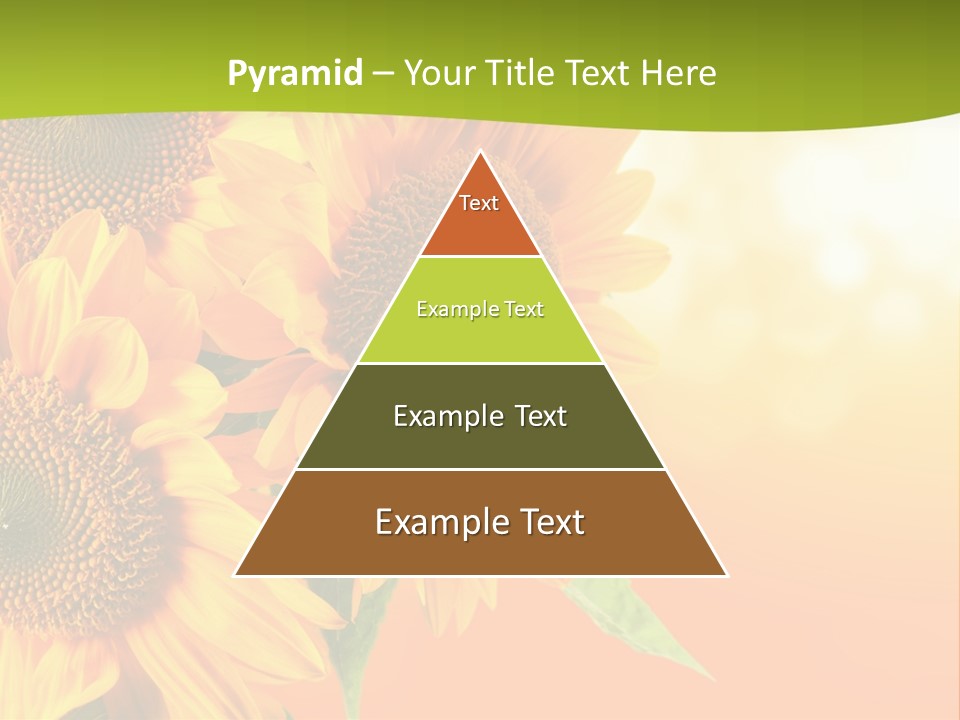 Bu Ine Li Ten Per On PowerPoint Template