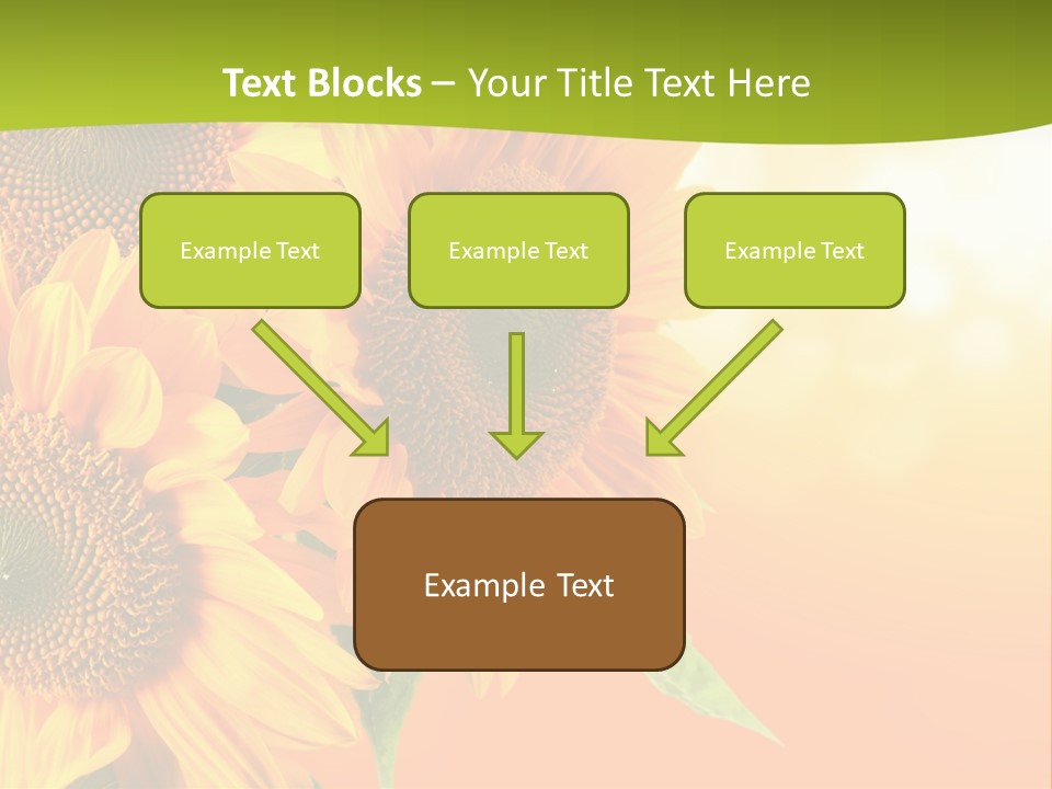 Bu Ine Li Ten Per On PowerPoint Template