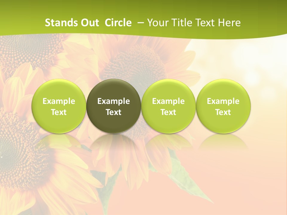 Bu Ine Li Ten Per On PowerPoint Template