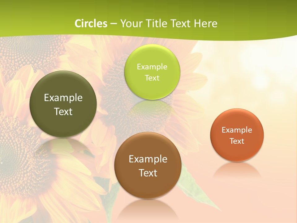 Bu Ine Li Ten Per On PowerPoint Template
