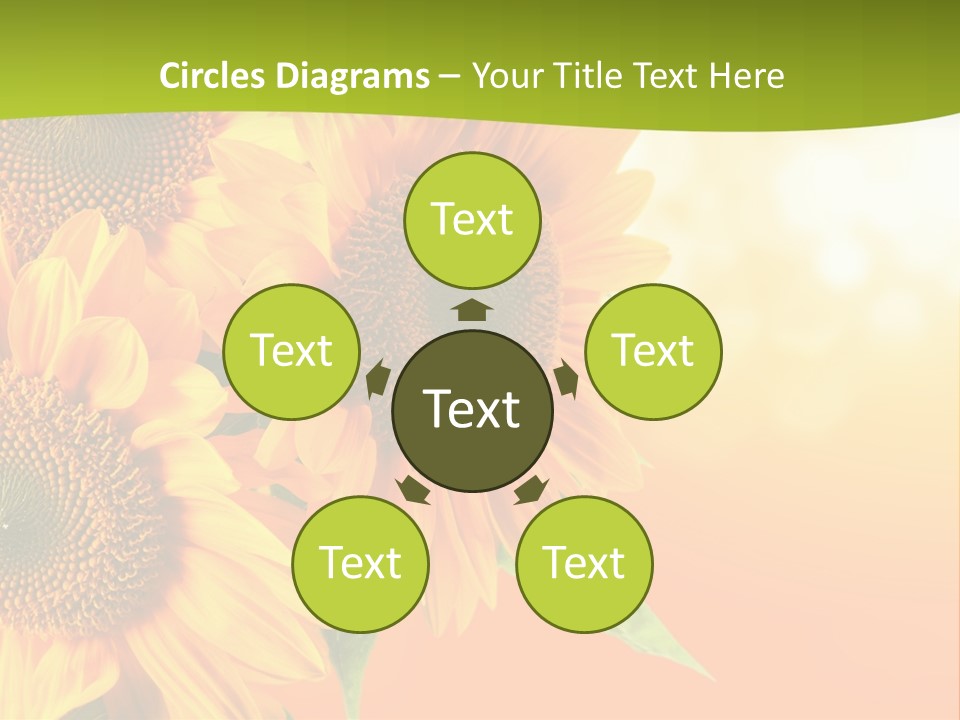 Bu Ine Li Ten Per On PowerPoint Template