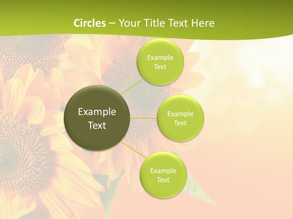 Bu Ine Li Ten Per On PowerPoint Template