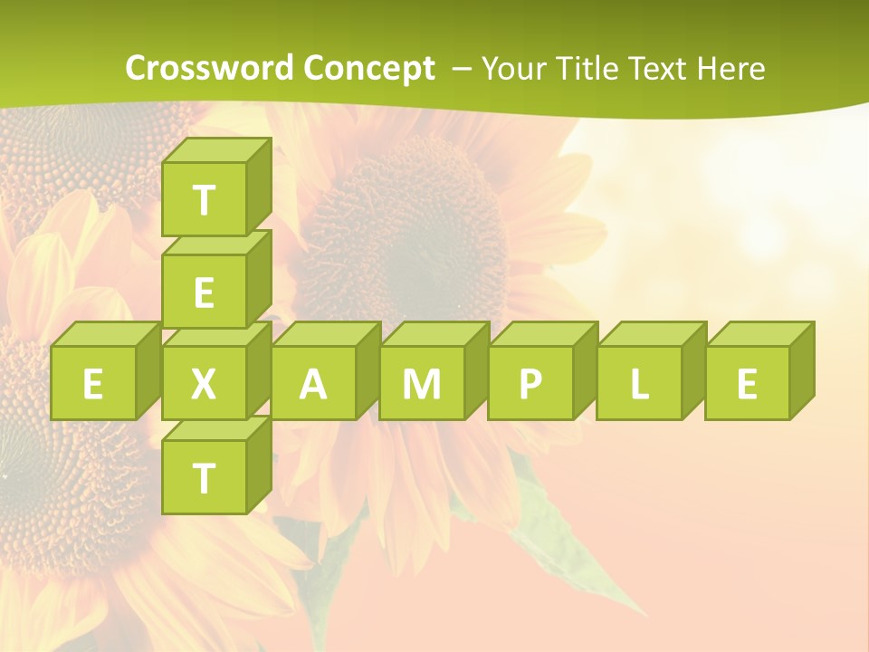 Bu Ine Li Ten Per On PowerPoint Template