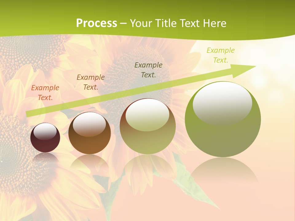 Bu Ine Li Ten Per On PowerPoint Template