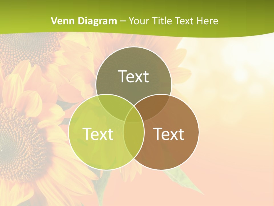 Bu Ine Li Ten Per On PowerPoint Template