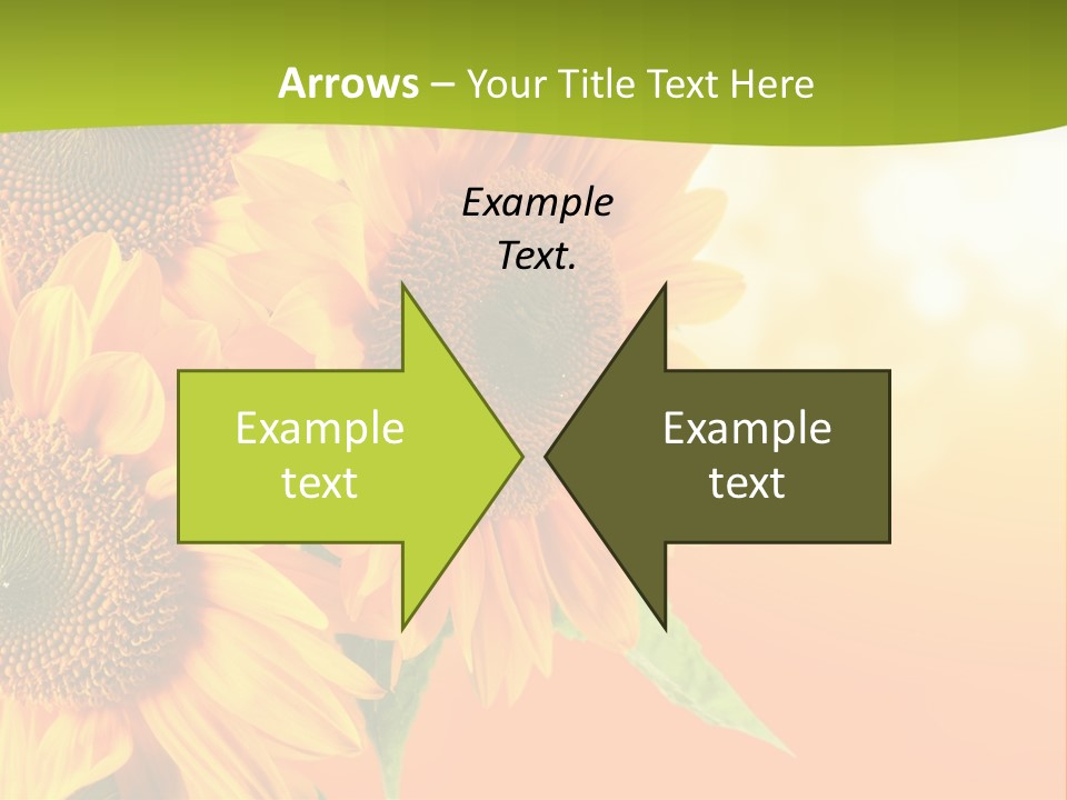 Bu Ine Li Ten Per On PowerPoint Template