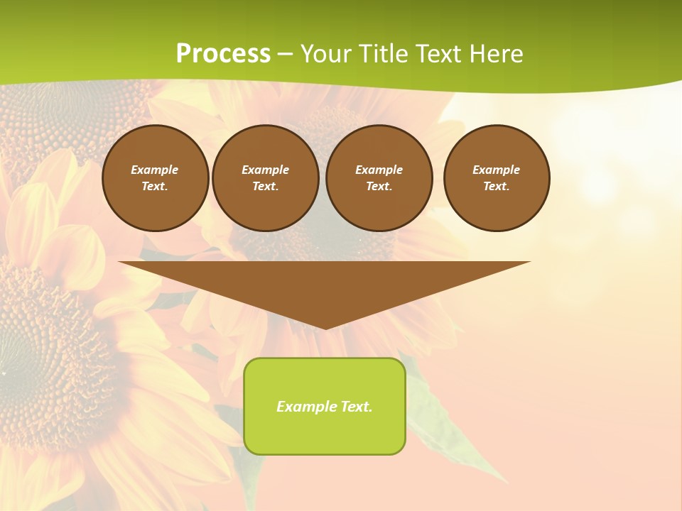 Bu Ine Li Ten Per On PowerPoint Template