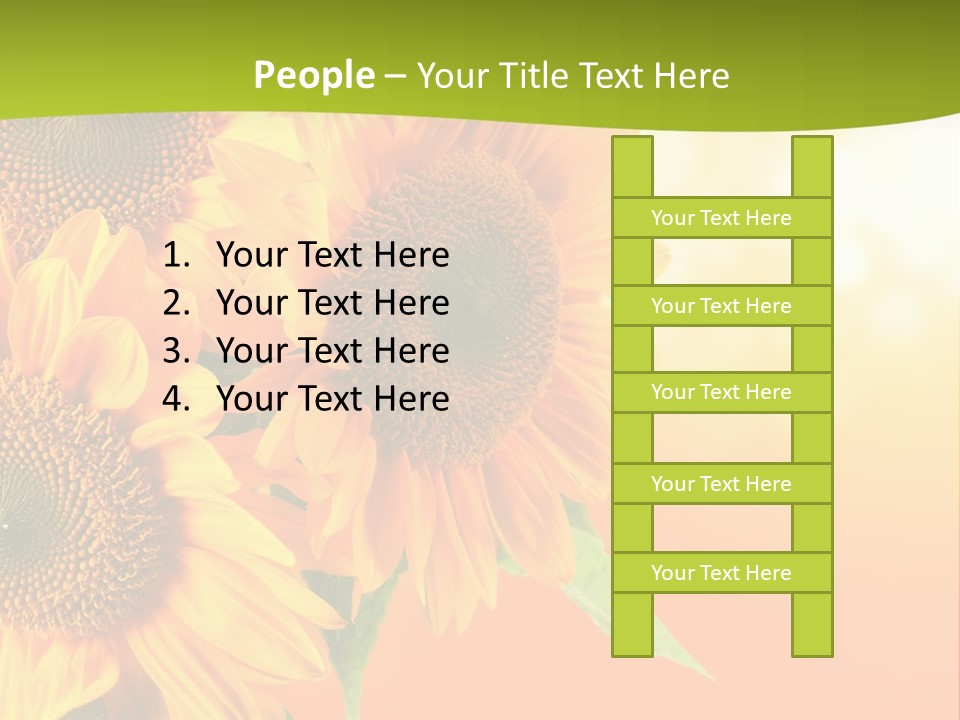 Bu Ine Li Ten Per On PowerPoint Template