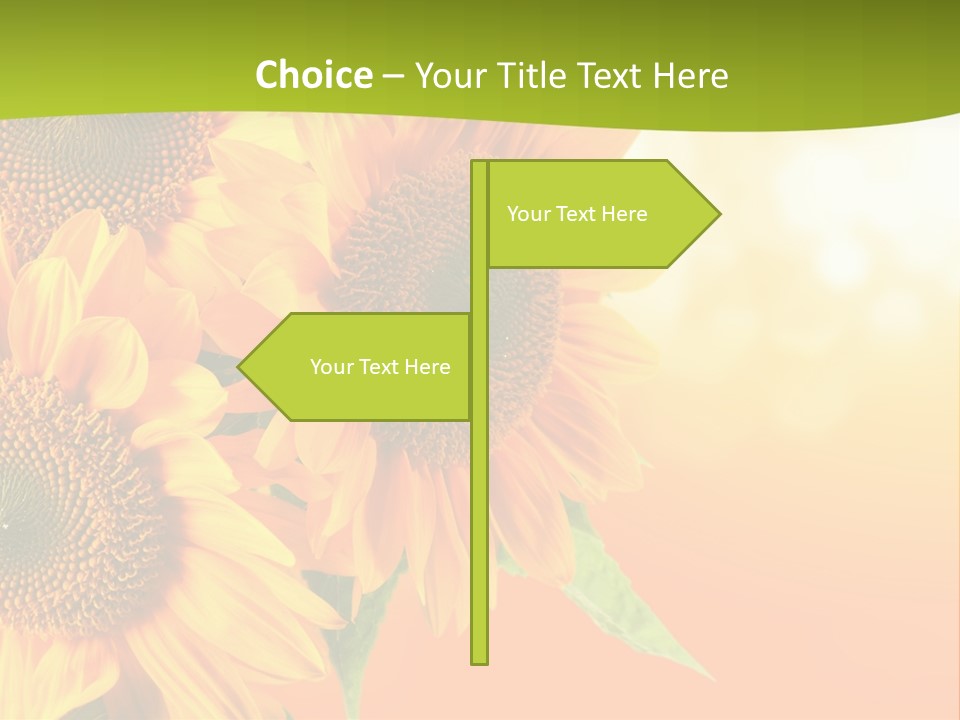 Bu Ine Li Ten Per On PowerPoint Template