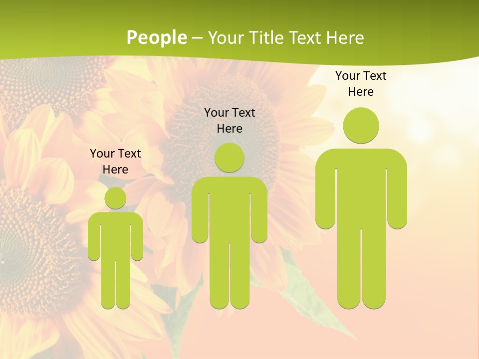 Bu Ine Li Ten Per On PowerPoint Template