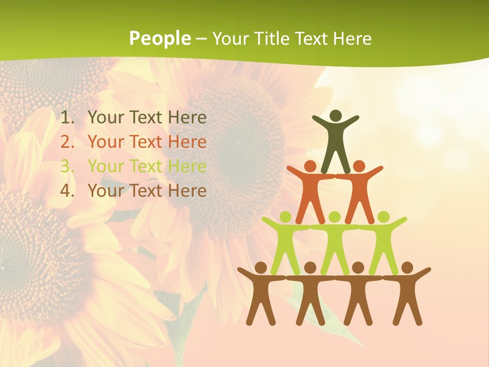 Bu Ine Li Ten Per On PowerPoint Template