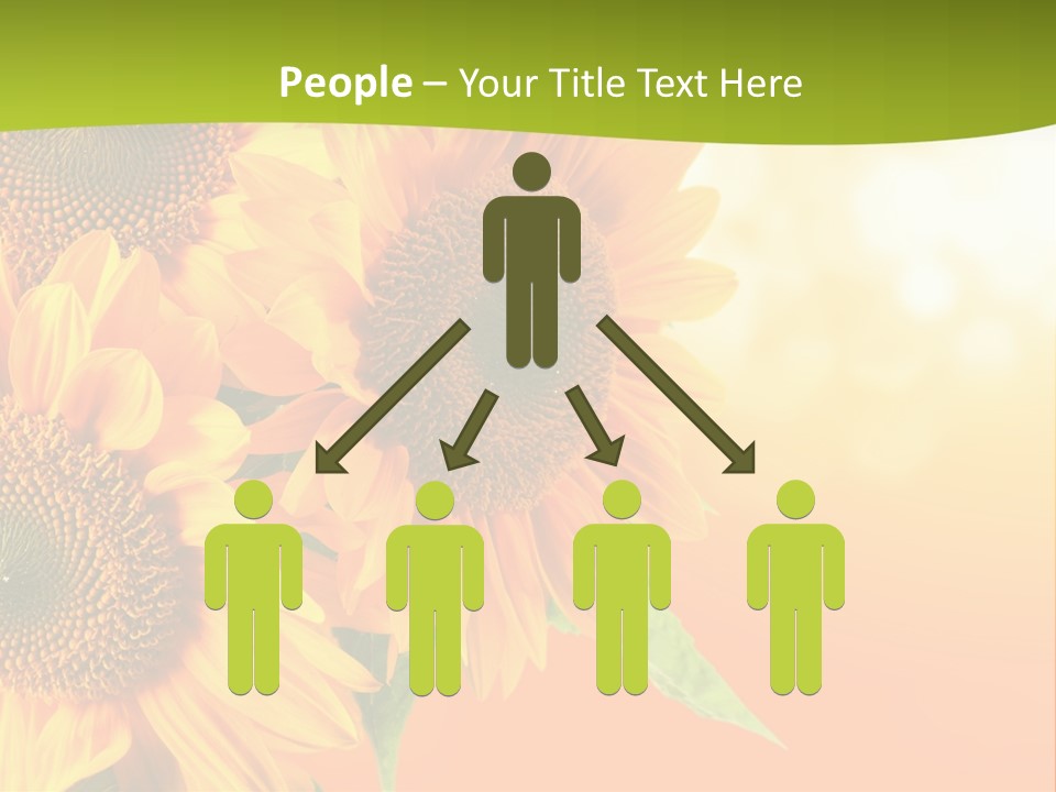 Bu Ine Li Ten Per On PowerPoint Template