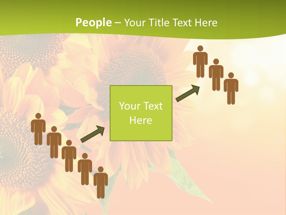 Bu Ine Li Ten Per On PowerPoint Template