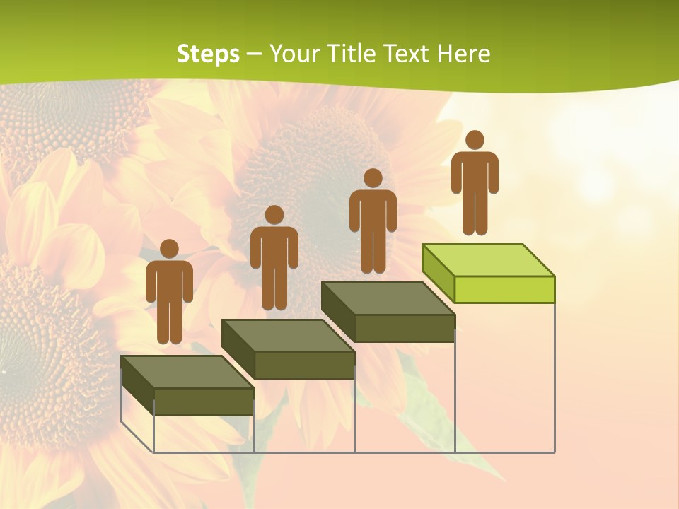 Bu Ine Li Ten Per On PowerPoint Template