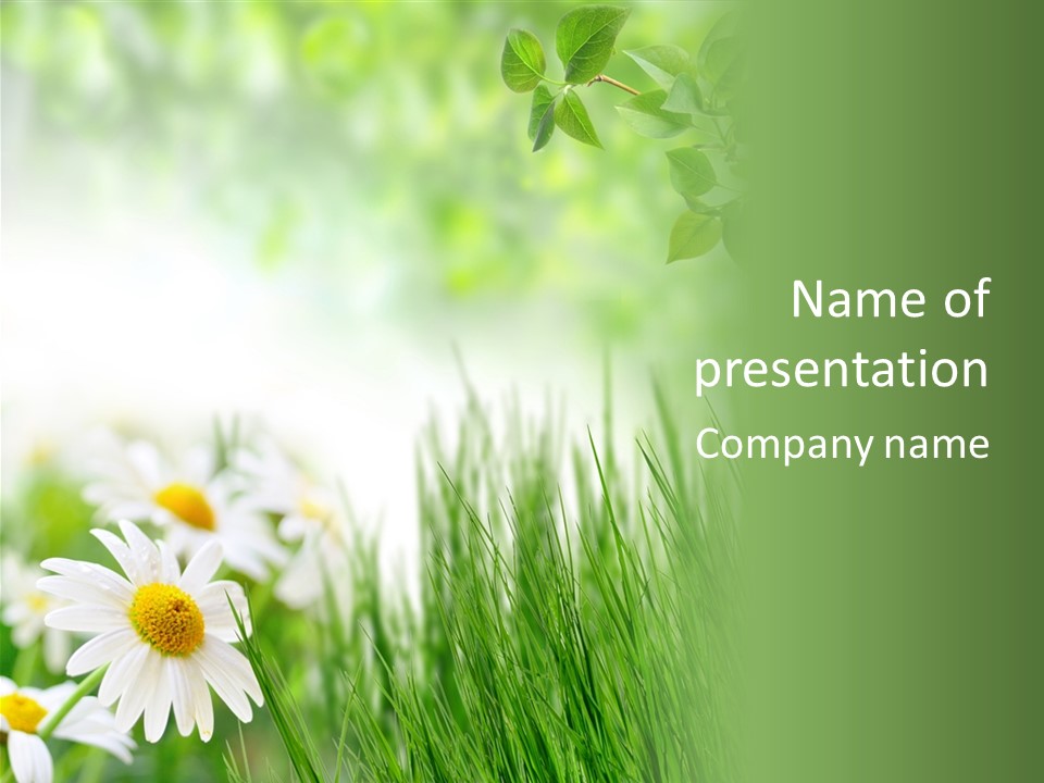 Season Field Park PowerPoint Template