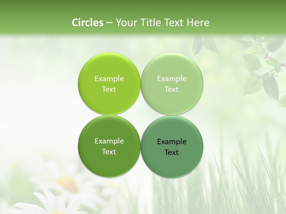 Season Field Park PowerPoint Template