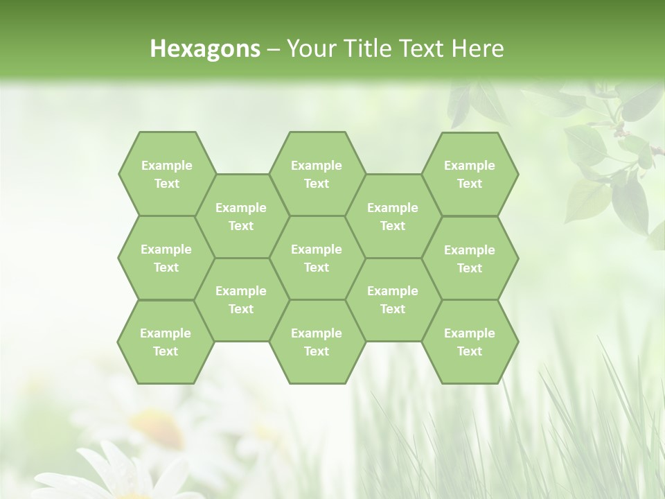 Season Field Park PowerPoint Template