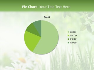 Season Field Park PowerPoint Template