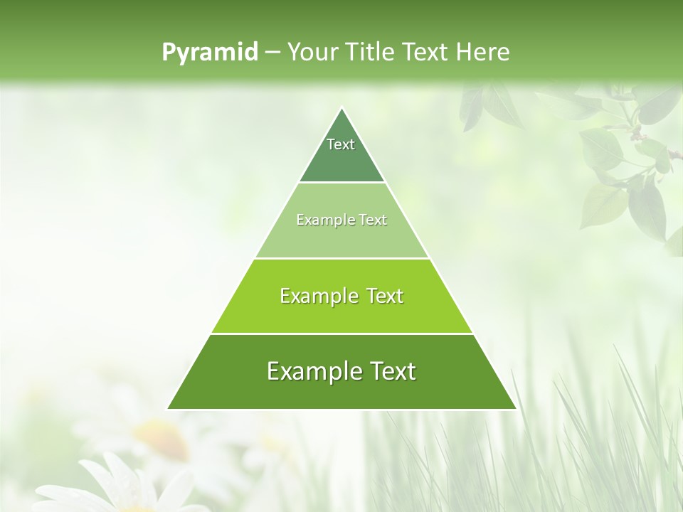 Season Field Park PowerPoint Template
