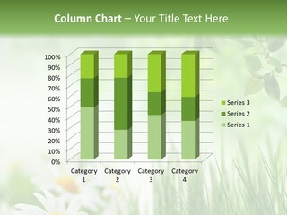 Season Field Park PowerPoint Template