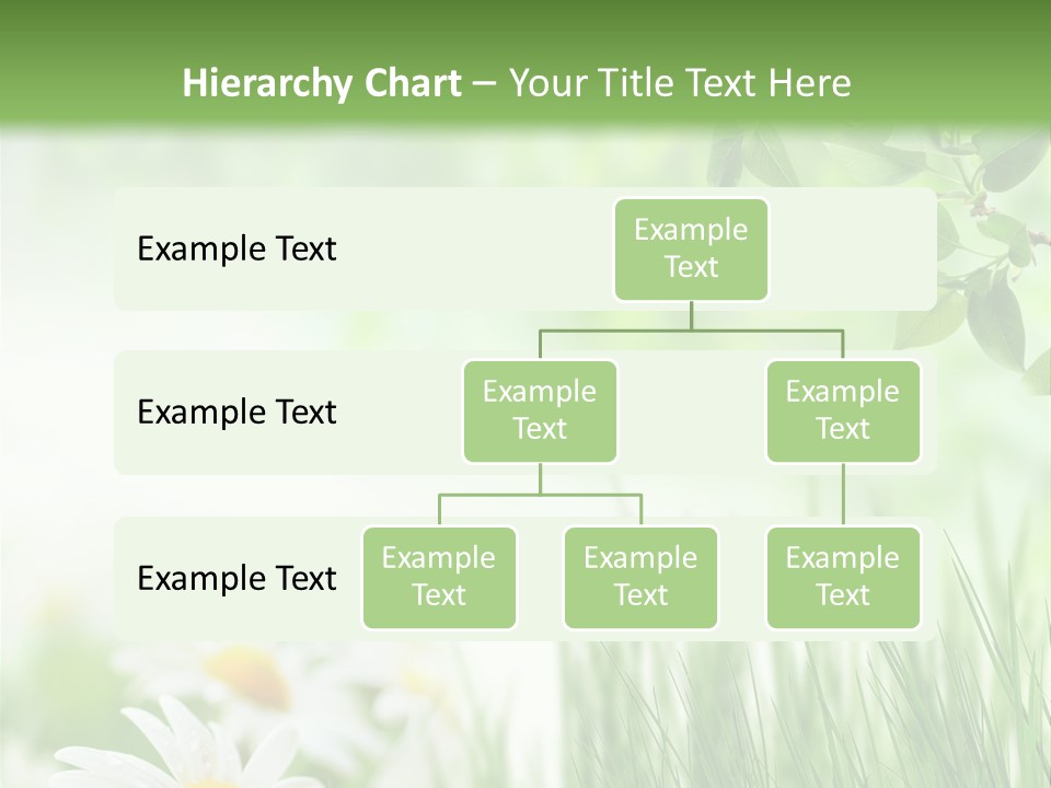 Season Field Park PowerPoint Template