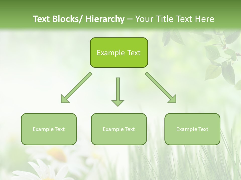 Season Field Park PowerPoint Template