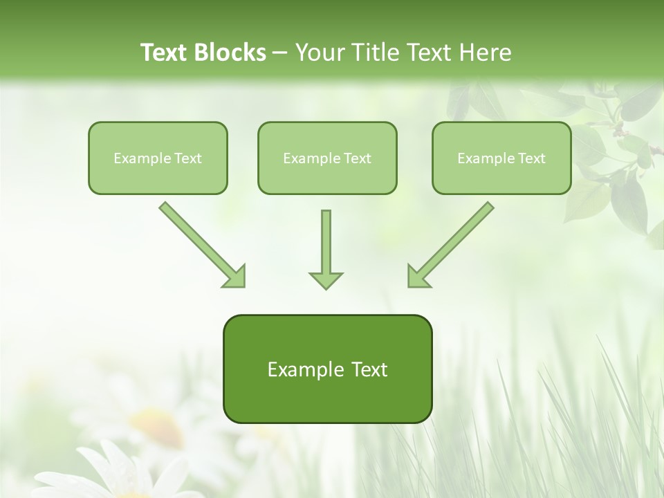 Season Field Park PowerPoint Template