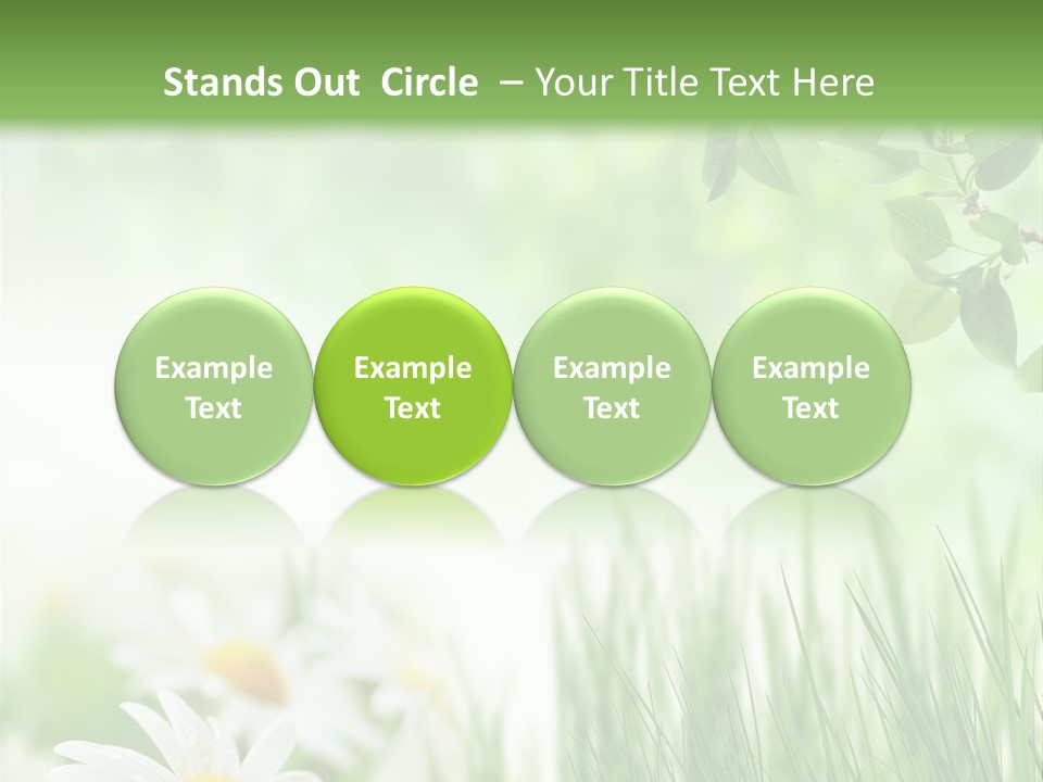 Season Field Park PowerPoint Template
