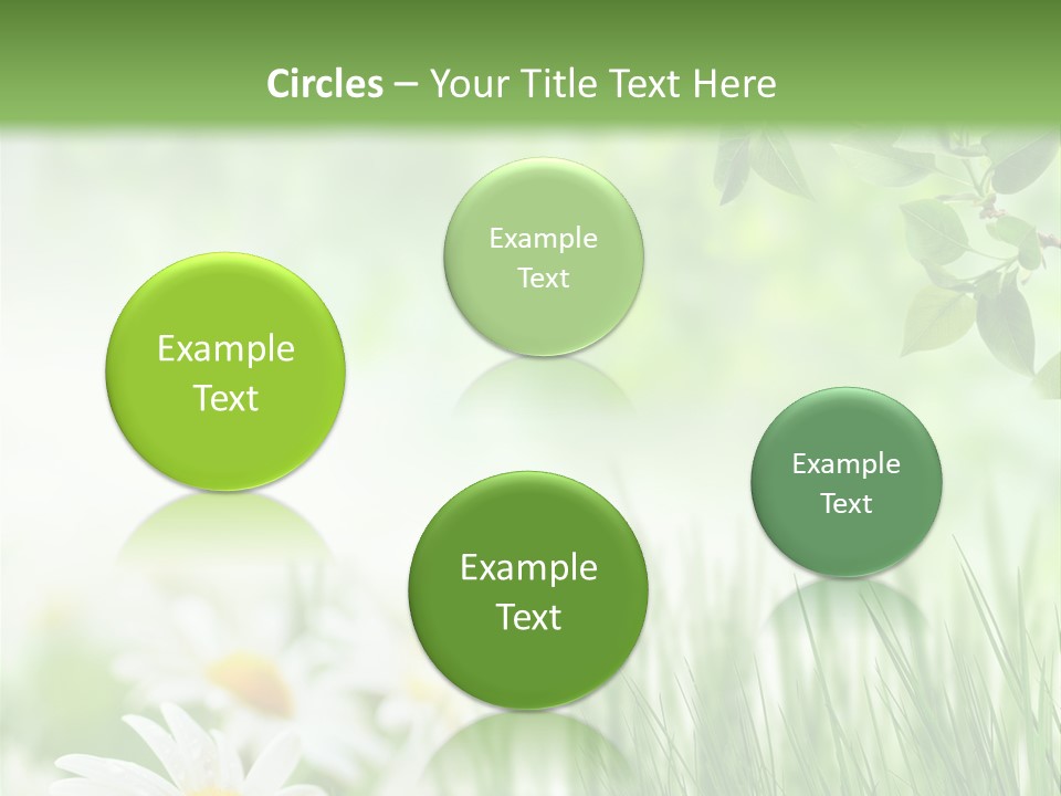 Season Field Park PowerPoint Template