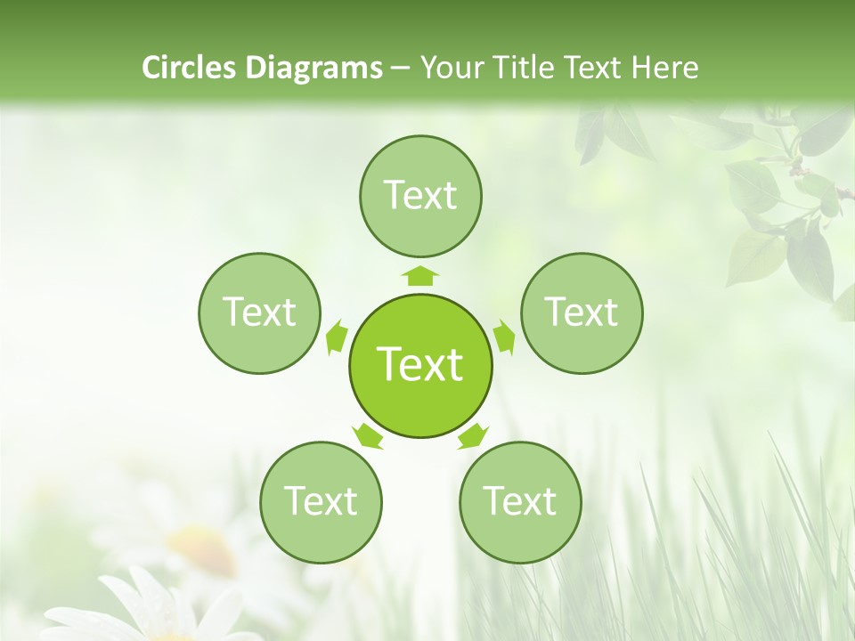 Season Field Park PowerPoint Template