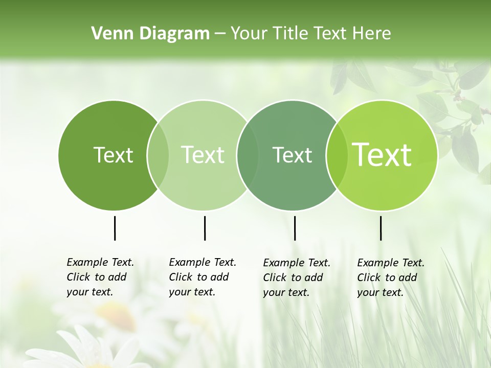 Season Field Park PowerPoint Template