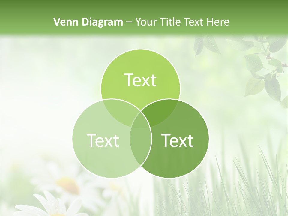 Season Field Park PowerPoint Template