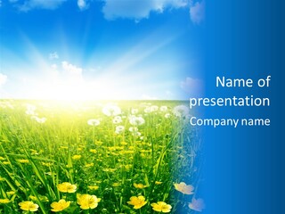 Outdoors Color Beautiful PowerPoint Template