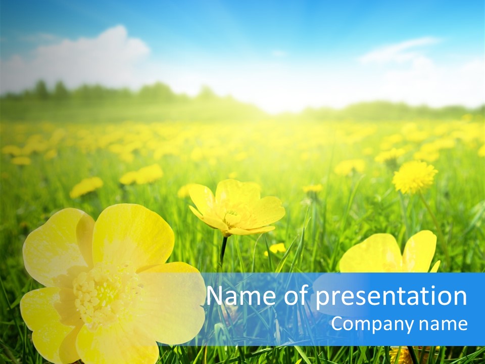 Blue Pasture Farmland PowerPoint Template