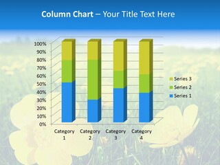 Blue Pasture Farmland PowerPoint Template