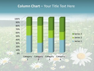 Green Day Sunlight PowerPoint Template