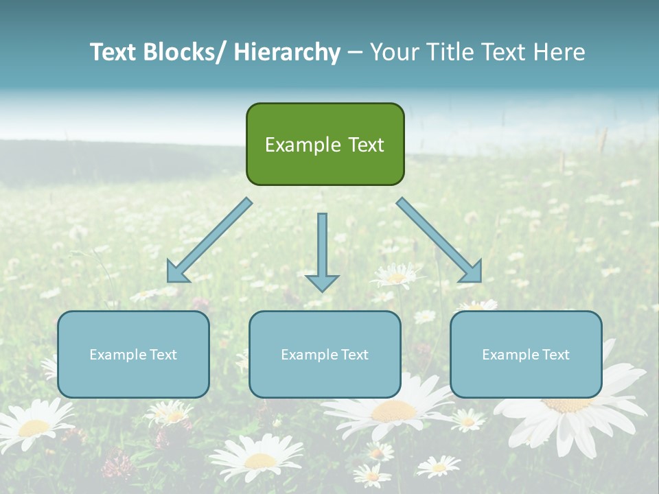 Green Day Sunlight PowerPoint Template
