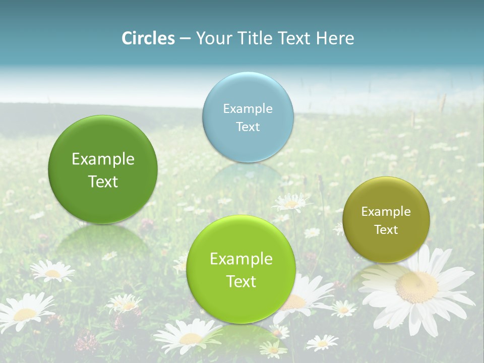 Green Day Sunlight PowerPoint Template