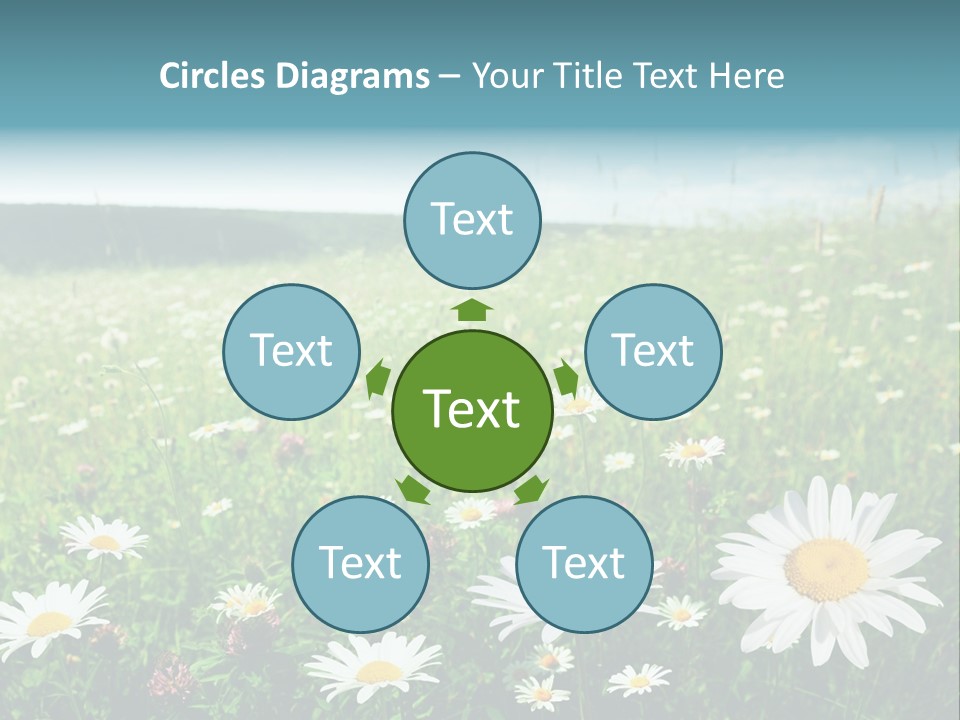 Green Day Sunlight PowerPoint Template