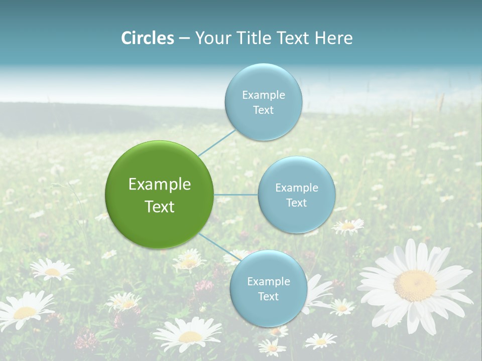 Green Day Sunlight PowerPoint Template