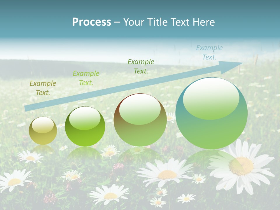 Green Day Sunlight PowerPoint Template