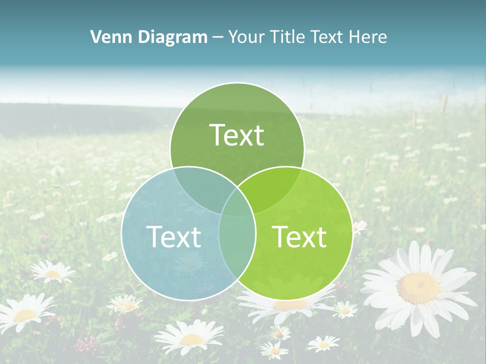 Green Day Sunlight PowerPoint Template