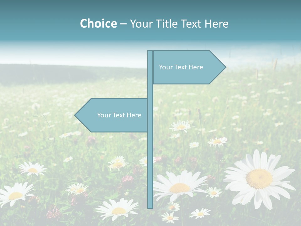 Green Day Sunlight PowerPoint Template