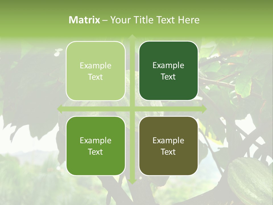 Haiti Forest Flora PowerPoint Template