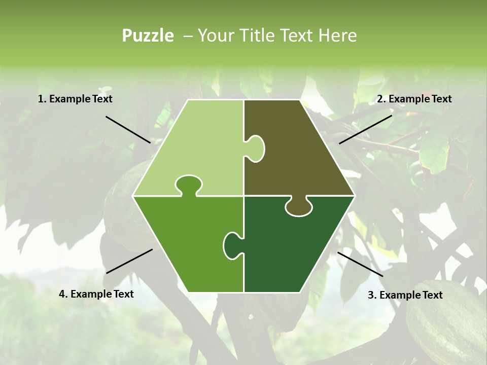 Haiti Forest Flora PowerPoint Template