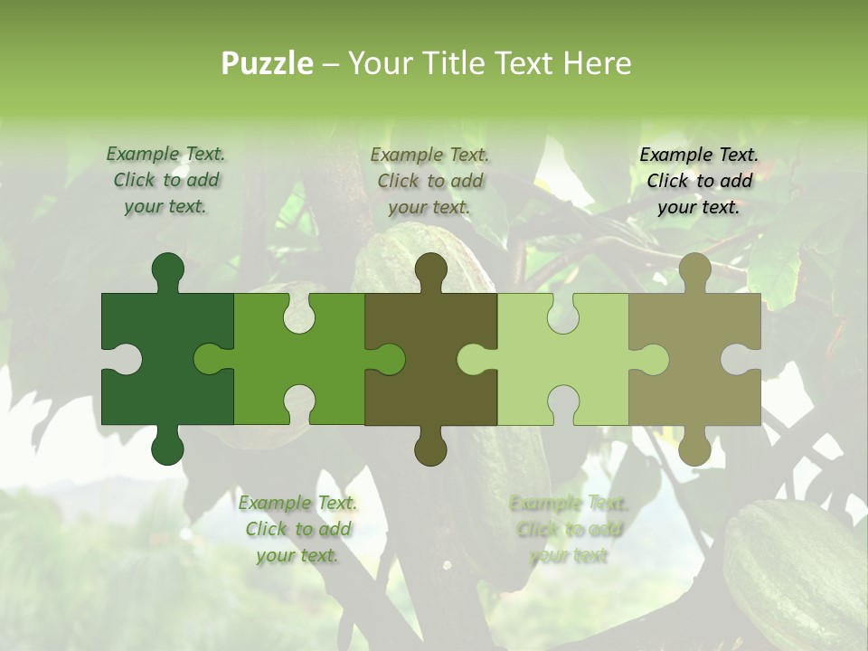 Haiti Forest Flora PowerPoint Template