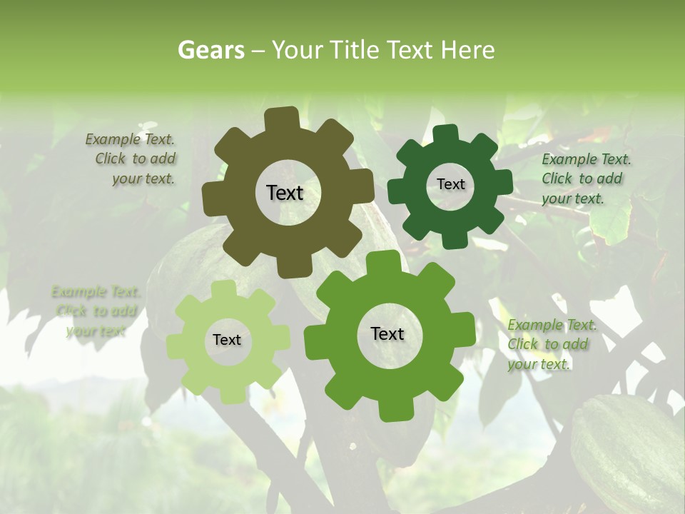 Haiti Forest Flora PowerPoint Template