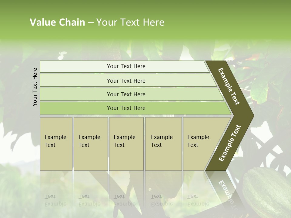 Haiti Forest Flora PowerPoint Template