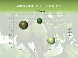 Haiti Forest Flora PowerPoint Template