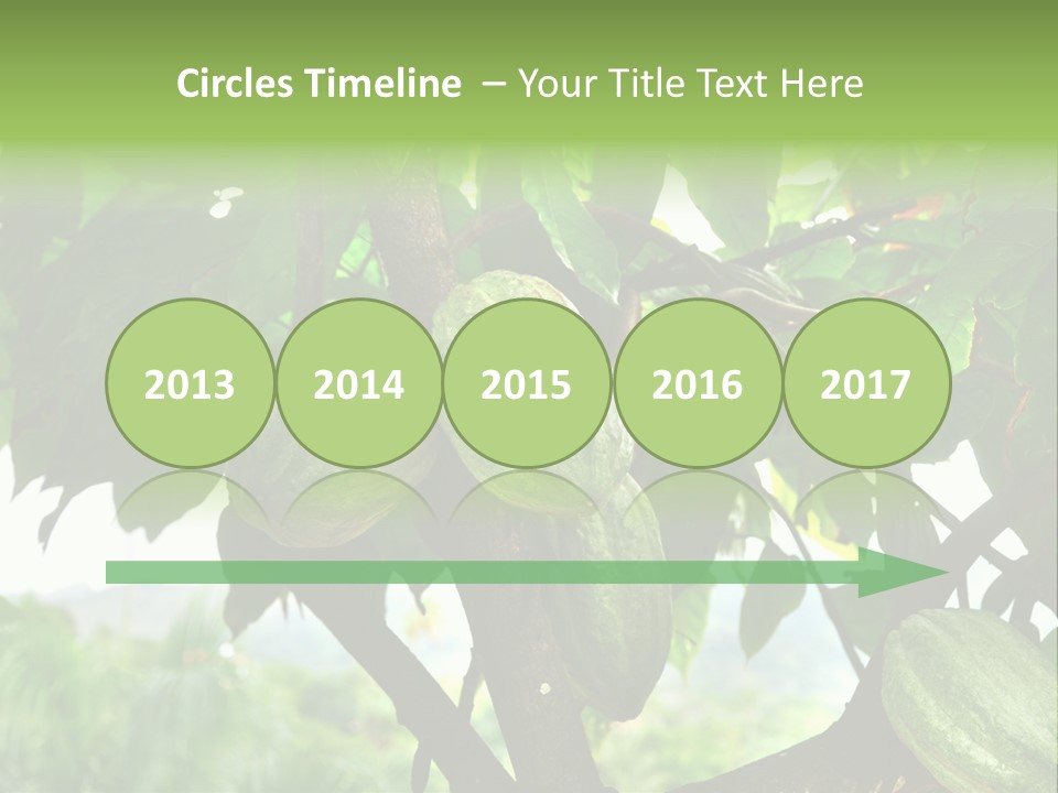 Haiti Forest Flora PowerPoint Template